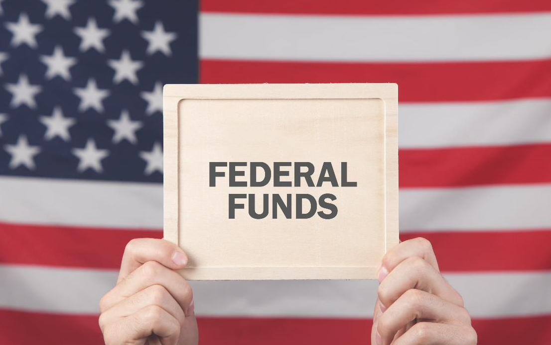 The fed